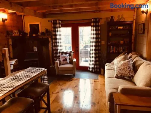 The Birches Cabin, at home in the woods! - Image 1