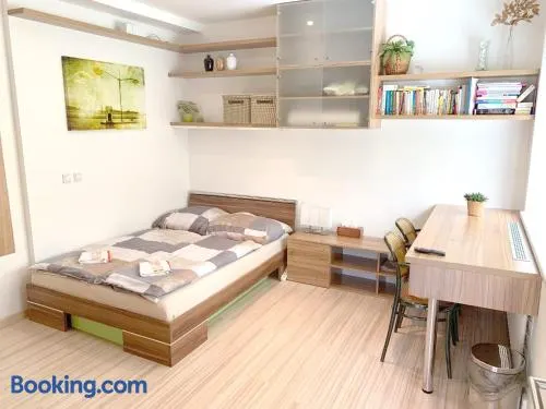 Krásný apartmán u lesa, trolejbus do centra a BVV, parkování zdarma - Image 1