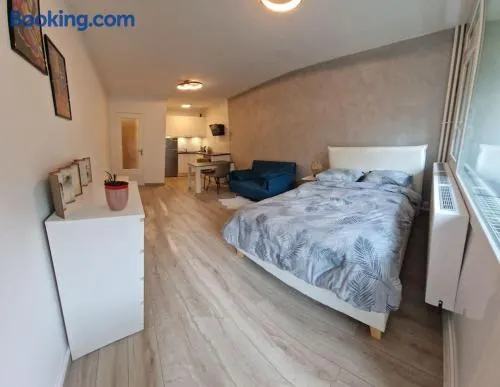 Charming new appartment near Geneva - Image 1