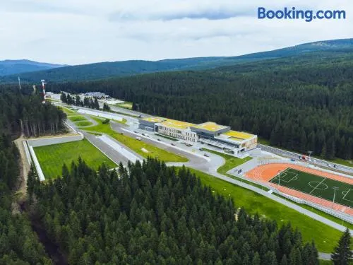 DCS Polana Jakuszycka - Image 1