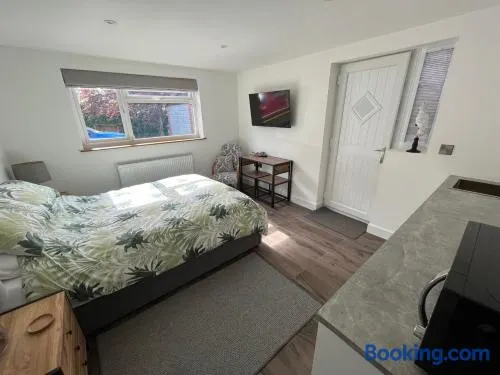 The New House - Image 1