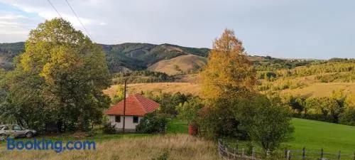 Studenac Mionica - Image 1