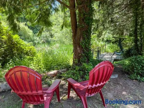 Dragonfly Haven - Image 1