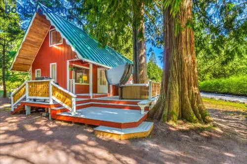 Riverfront Cabin Hot Tub Dogs OK Near Mt Rainier - Image 1