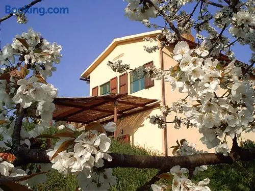 Podere Mazzana - Image 1