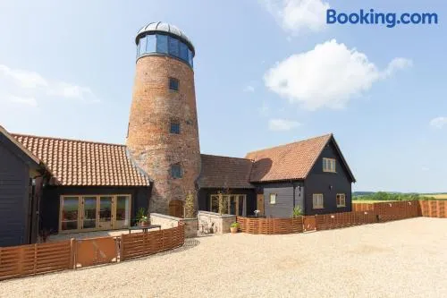 The Windmill - Image 1