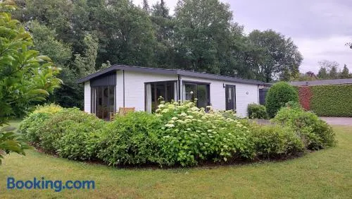 Vakantie op de Veluwe - Image 1