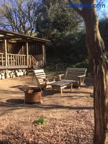 Secret Woodland Hideaway for two - Image 1