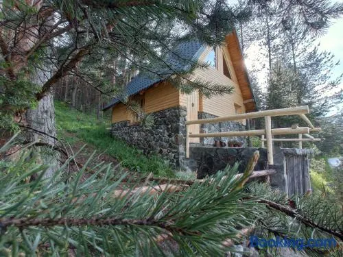 Garac Zlatibor Vikendica - Image 1