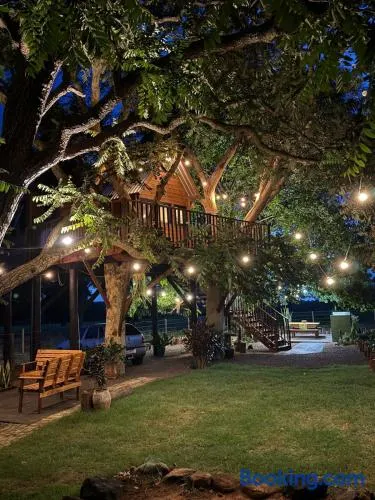 Casa na arvore Dream tree house - Image 1