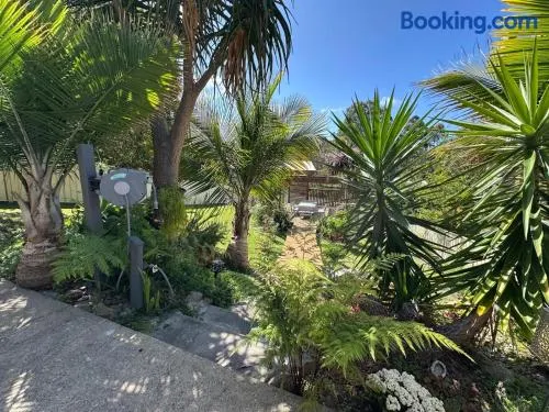 Garden View Homestay Single Ensuite Room - Image 1