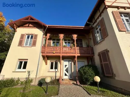 Colmar joli petit appartement - Image 1