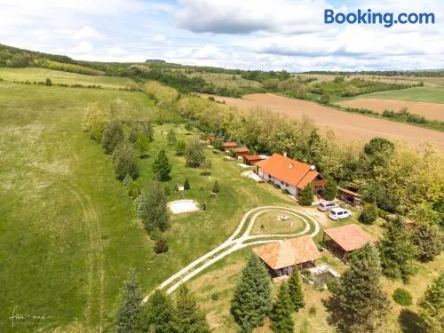 Napfény Camping - Image 1