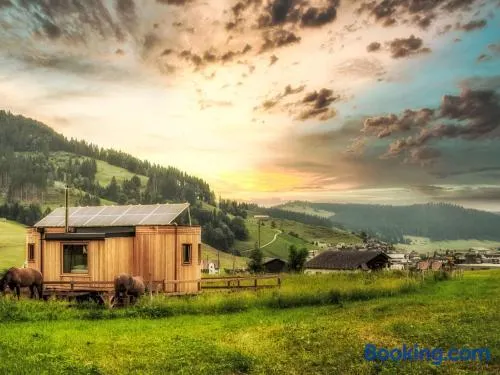 Chalet Boutique Tiny House by Interhome - Image 1