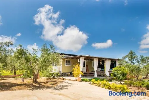 Hakuna Matata Holidays Agalia with airco & pool in Greek Olive Grove - Image 1
