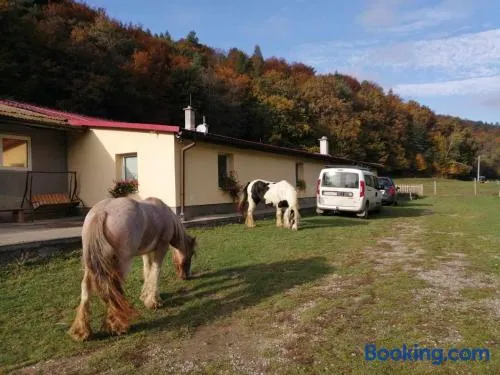 Oddychovy pobyt na rodinnej farme - Image 1