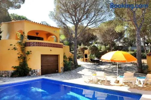 Pinedes - Image 1