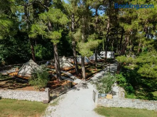 Camp 'Dvor' bell tent accommodation - Image 1