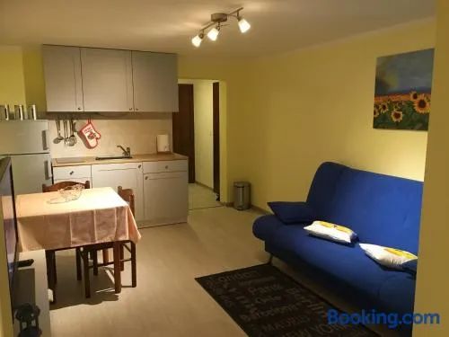 Apartment Branka - Image 1
