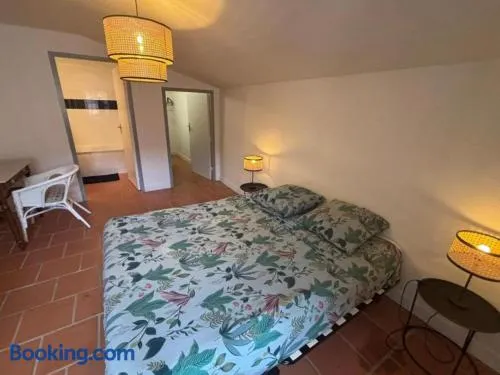 Cosy T2 Hyper-centre Montauban Place Nationale - Image 1