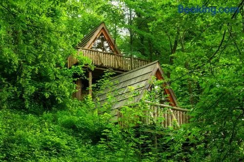 Glamping Savinja - Image 1
