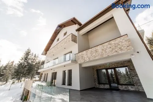 Sali Chalet - Villa in Munții Apuseni - Image 1
