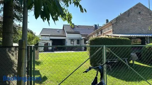 Zeitlos - Image 1