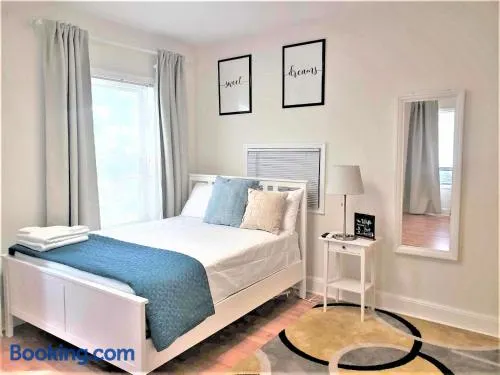 Delightful Private Room in Washington DC - Image 1