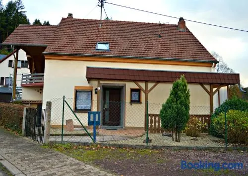 Ferienhaus-Vogelsfelsen - Image 1