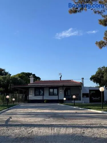 Nemo's House - Image 1