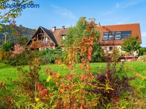 Appartement charmant à Thannenkirch avec vue montagne - Image 1