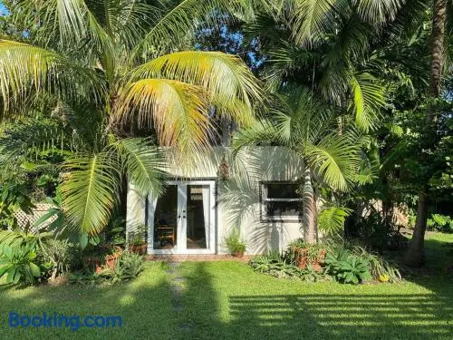 Miami guest house with large pool - Image 1