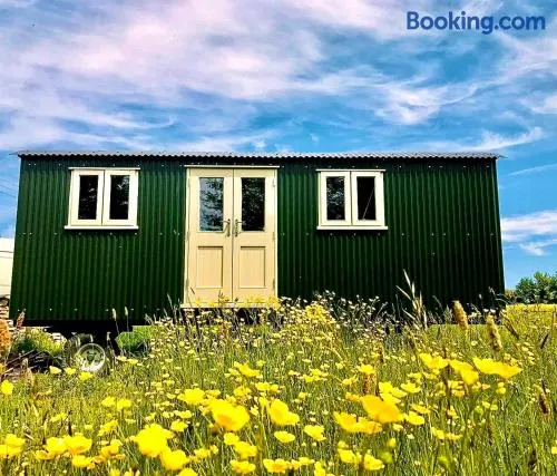 The Old Post Office - Luxurious Shepherds Hut 'Far From the Madding Crowd' based in rural Dorset. - Image 1
