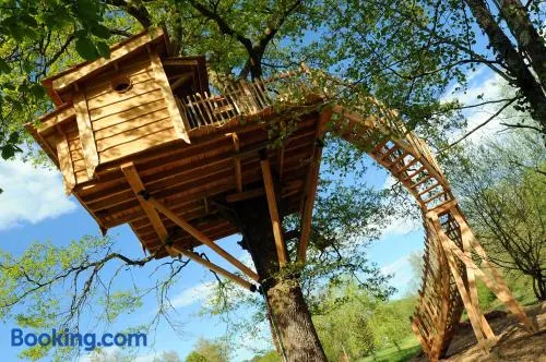 La Cabane du Vieux Chêne - Image 1