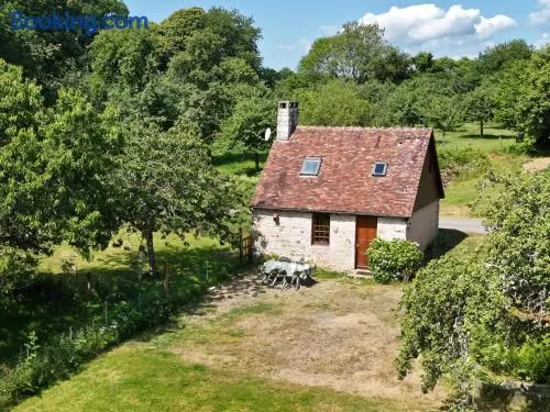 Maison ancienne restaurée avec poêle à bois et animaux admis - Image 1