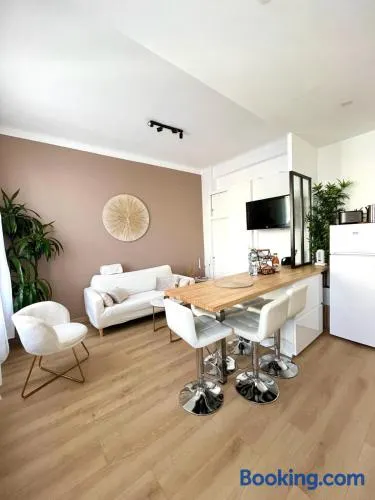 Nice - Appartement T3 rénové de 50 M2 classé 2 étoiles - Image 1