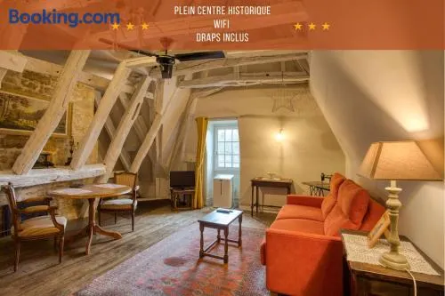 2 pièces, centre historique, "Loft Montaigne" - Image 1