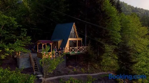 Forest House - Image 1