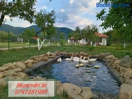 Desculti prin iarba- la 6,6 km de centrul Piatra Neamt - Image 1