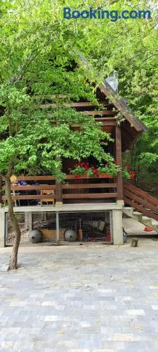 Ovčar Banja - Image 1