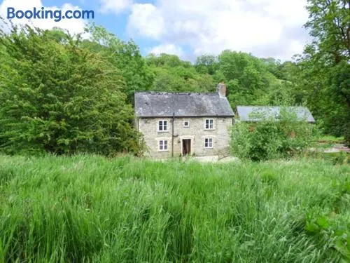 Ploony Cottage, BLEDDFA - Image 1