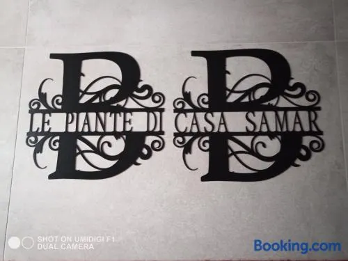 Le piante di casa SaMar - Image 1