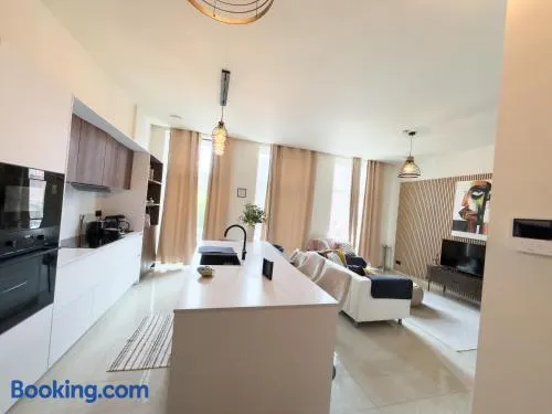 Unice Luxury Apartment Brussels - Image 1