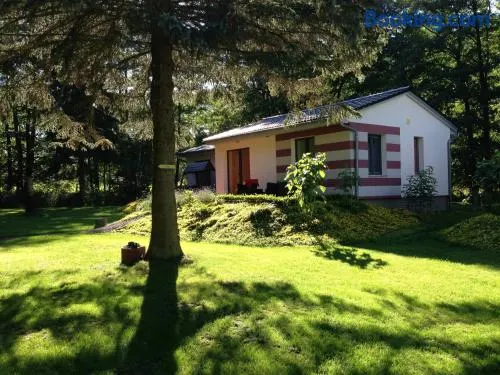 Kunstpark Reinhardsbrunn - Image 1
