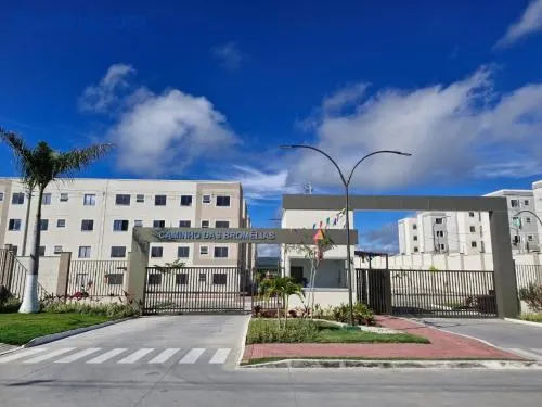 Cantinho das bromélias - Image 1