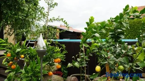 Pension Limone Ferienwohnung 1 - Image 1