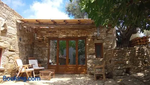 The Wise Olive Tree - Image 1