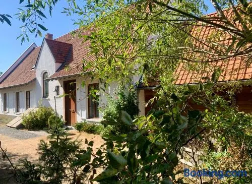 b&b Meilrijk - Image 1