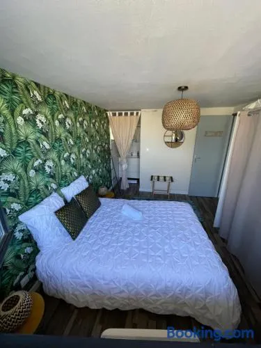 A louer appartement t2 - Image 1