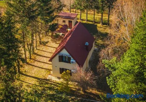 Pineview House - Image 1